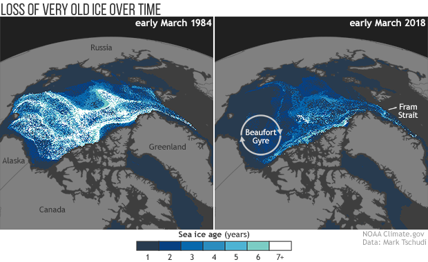Arctic sea ice age comparison, 1984 vs. 2018
