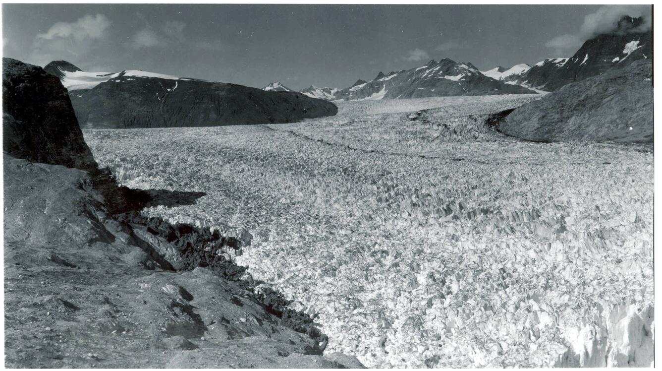 Muir Glacier, Alaska, filling the inlet in 1941